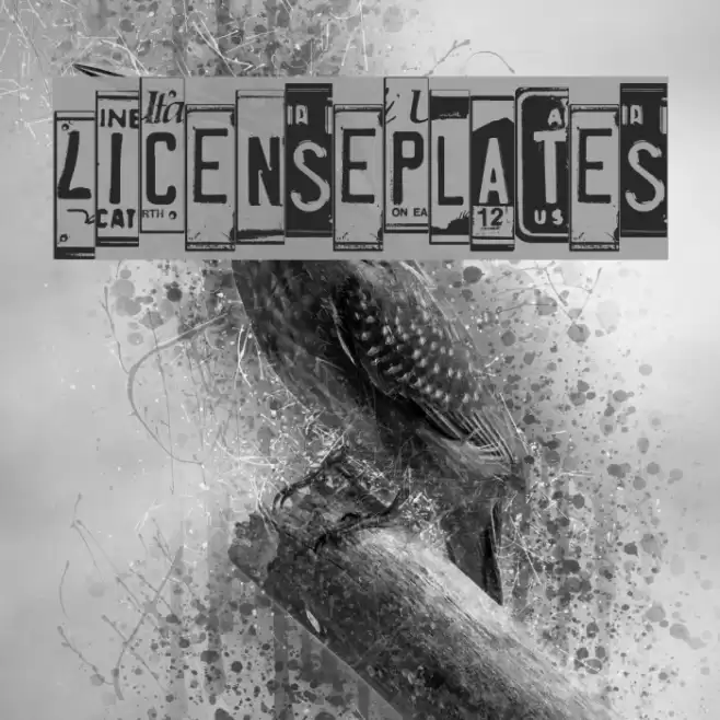 LicensePlates Font examples