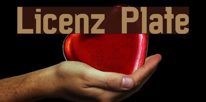 Licenz Plate Font examples