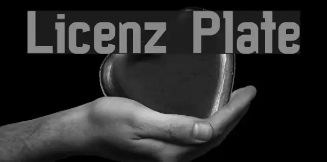 Licenz Plate Example 2