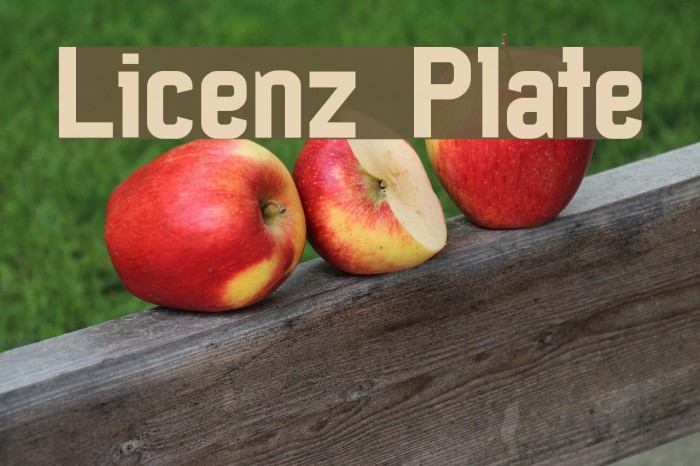 Licenz Plate Font examples