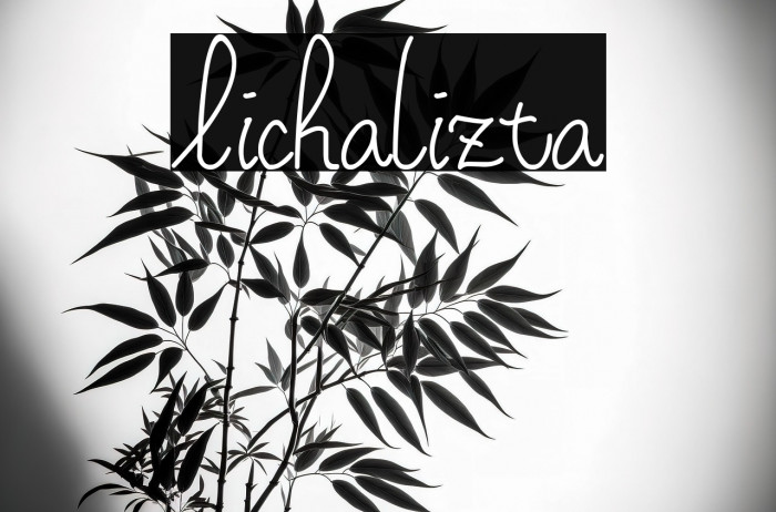 Lichalizta Example 3