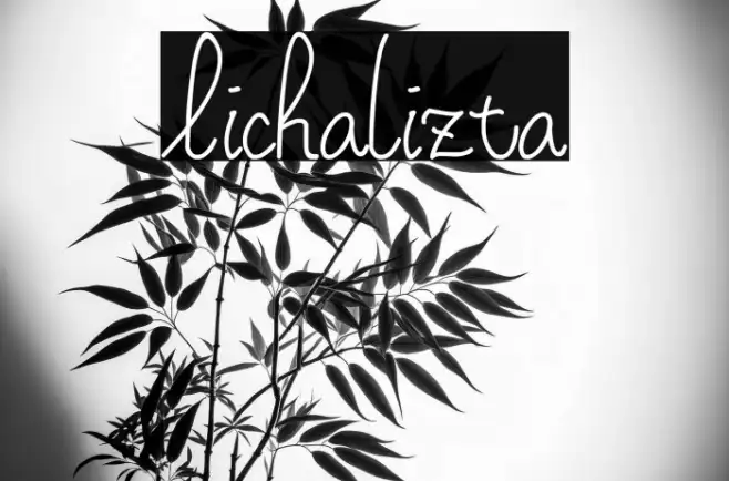 Lichalizta Example 3