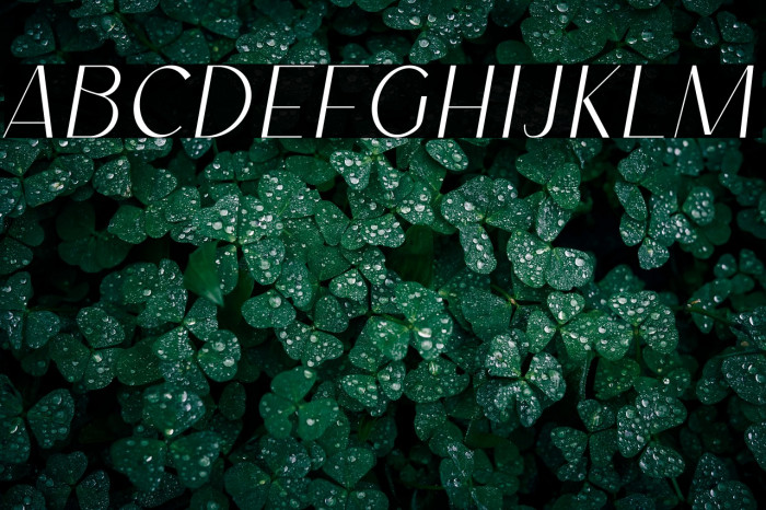 Lichfield FREE COMERCIAL USED Example 2