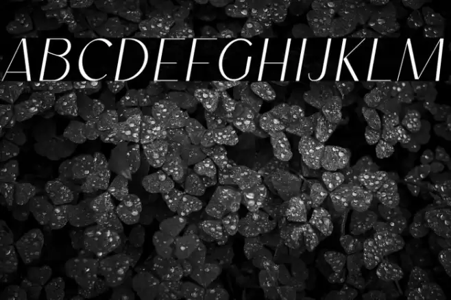 Lichfield FREE COMERCIAL USED फ़ॉन्ट examples