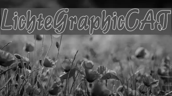 LichteGraphicCAT Font examples