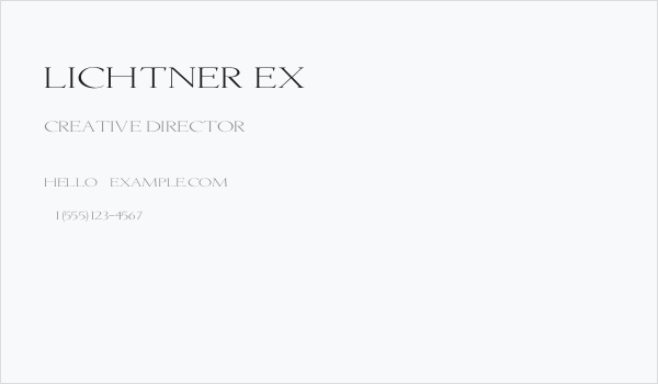 Lichtner Ex Business Card