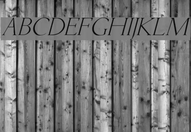 Lichtner Italic Font examples