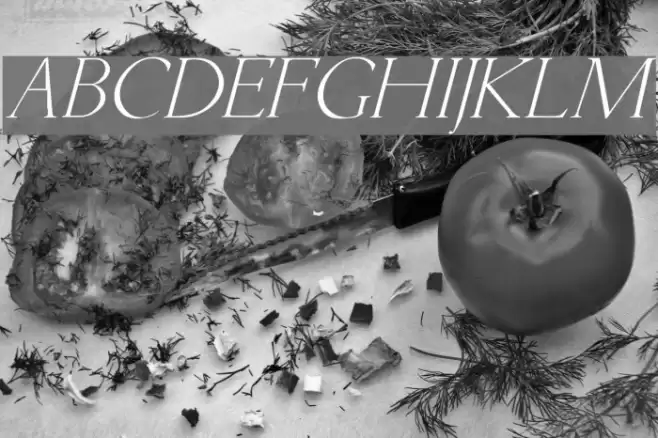 Lichtner Italic Font examples