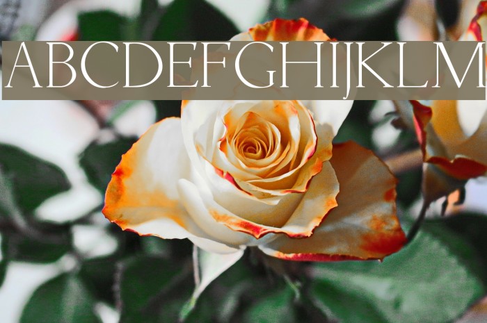 Lichtner Font examples