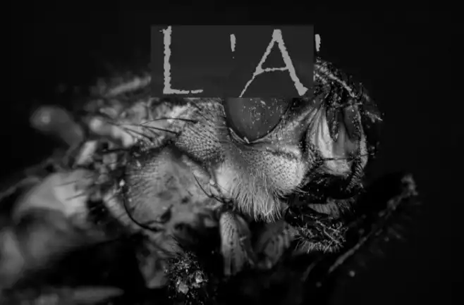 Licinia 'Aged' Example 1