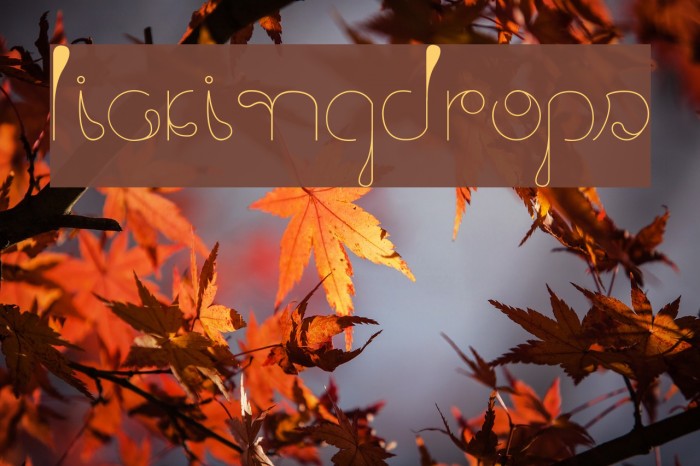 LickingDrops Example 1