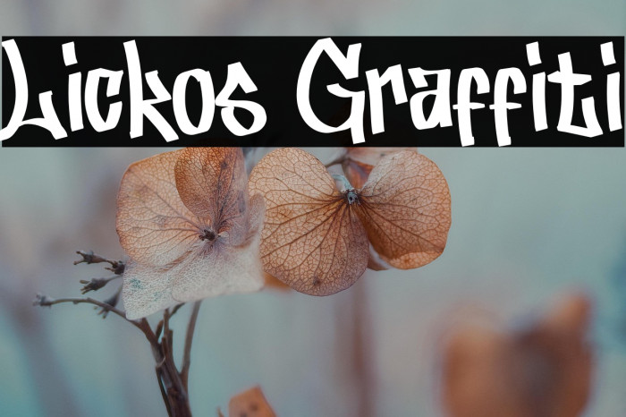 Lickos Graffiti Example 1