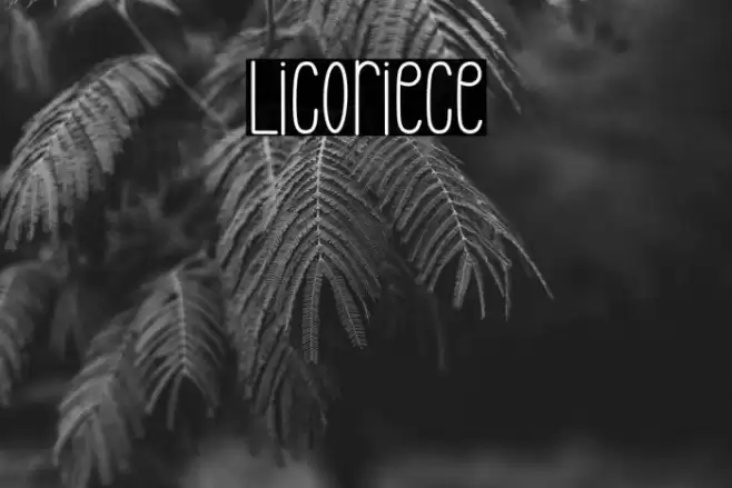 Licoriece Font examples