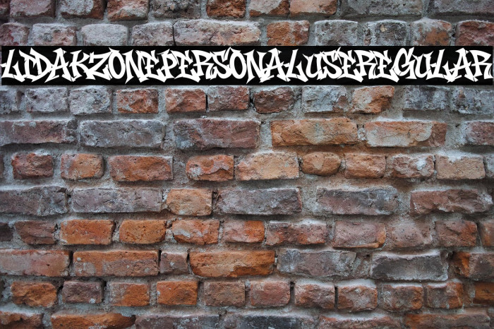 Lidakz One PERSONAL USE Regular Example 1