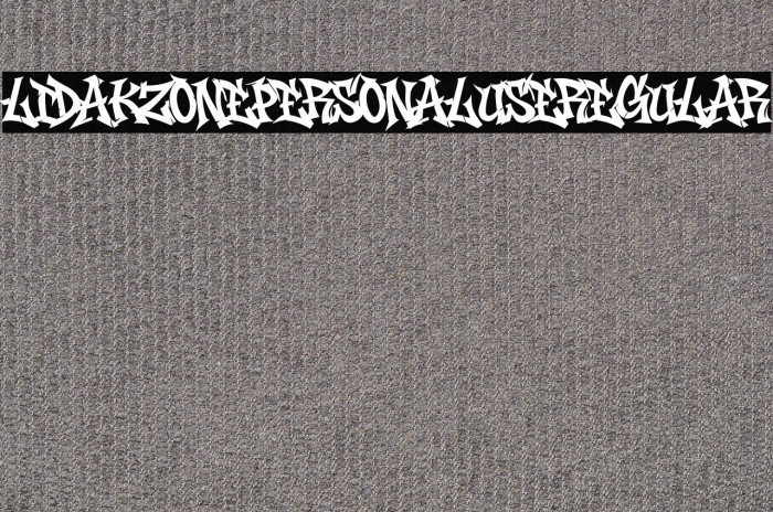 Lidakz One PERSONAL USE Regular Example 2