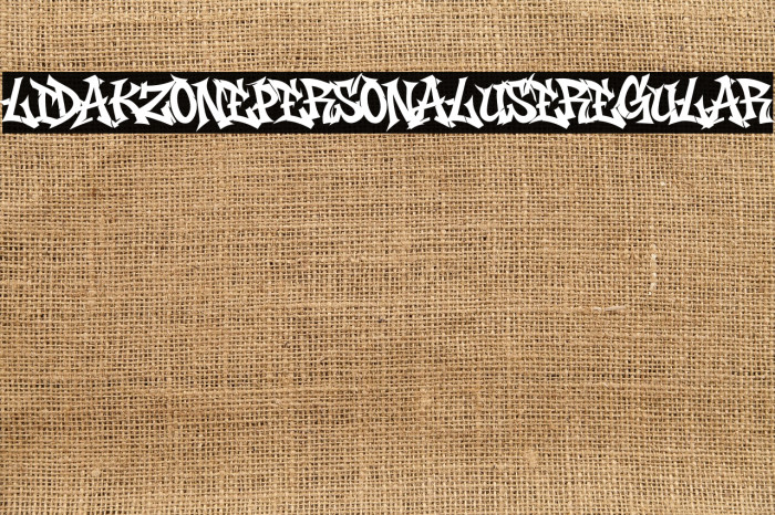 Lidakz One PERSONAL USE Regular Example 3