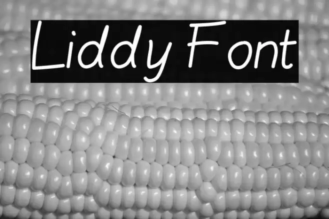 Liddy Font examples