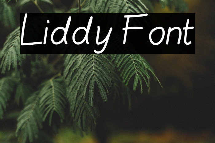 Liddy Example 3
