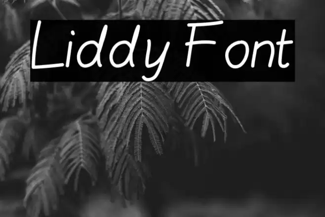 Liddy Font examples
