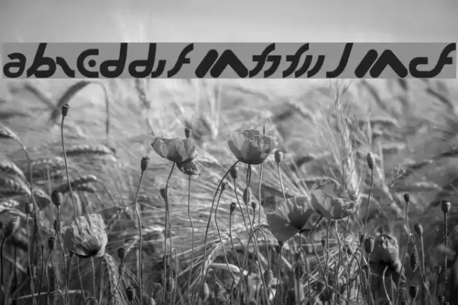 Lide 106.9 Font examples