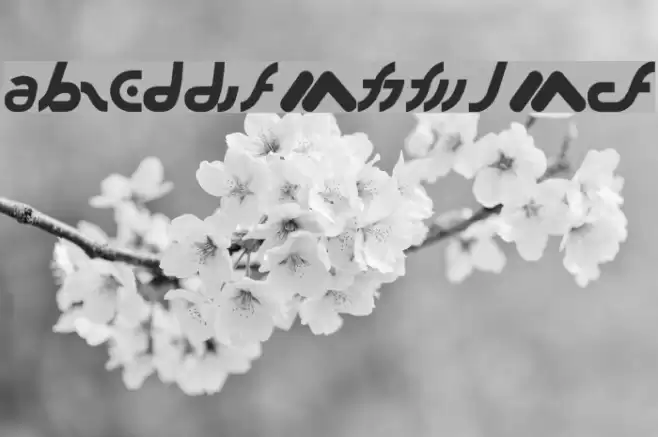 Lide 106.9 Font examples