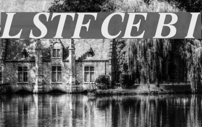 Lido STF CE Bold Italic Font examples