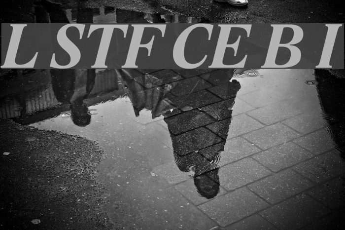 Lido STF CE Bold Italic Font examples
