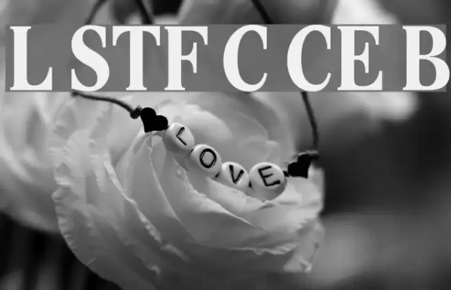 Lido STF Cond CE Bold Font examples