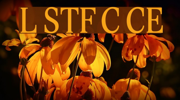 Lido STF Cond CE Font examples