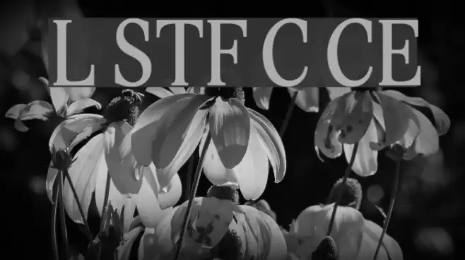 Lido STF Cond CE Font examples