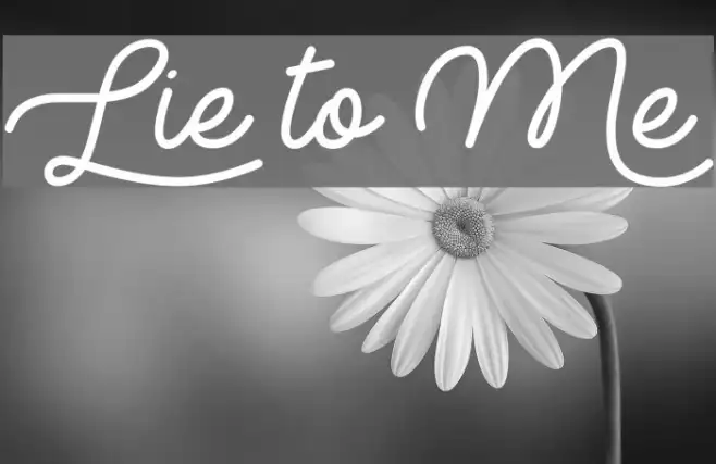 Lie to Me Example 2
