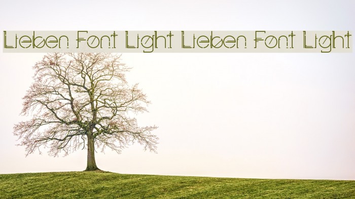 Lieben Font Light Lieben Font Light Example 3