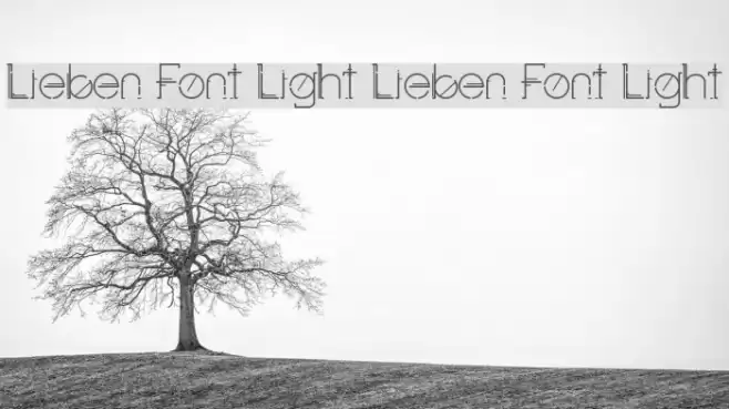 Lieben Font Light Lieben Font Light Font examples