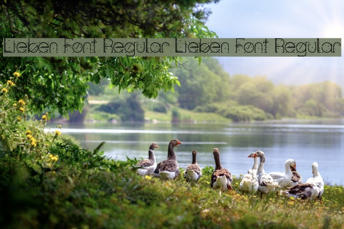 Lieben Font Regular Lieben Font Regular Example 3