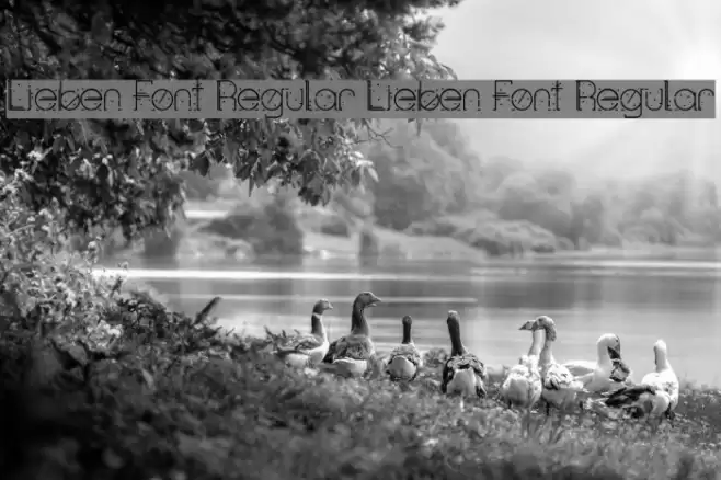 Lieben Font Regular Lieben Font Regular Font examples