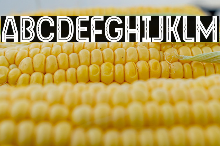 Liege Inline SS 1 Example 1