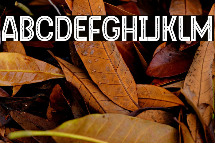 Liege Inline SS 1 Example 2