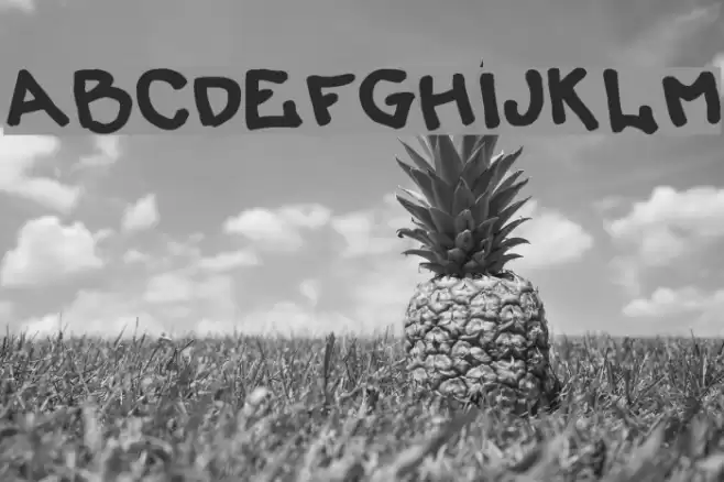 LiersonMattenhauer Font examples