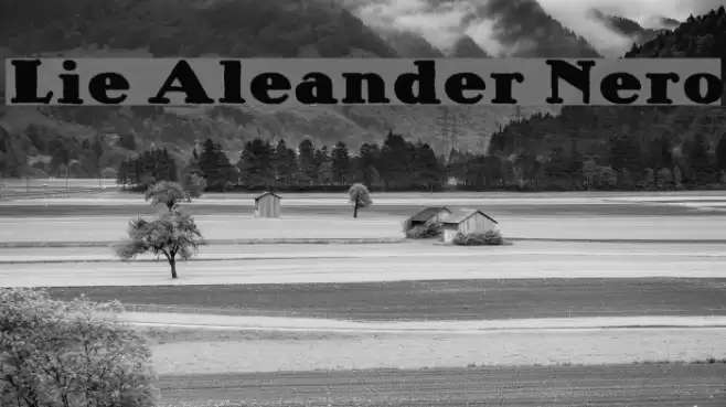 Lietz Alexander Nero Font examples