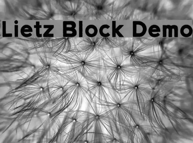 Lietz Block Demo Example 1