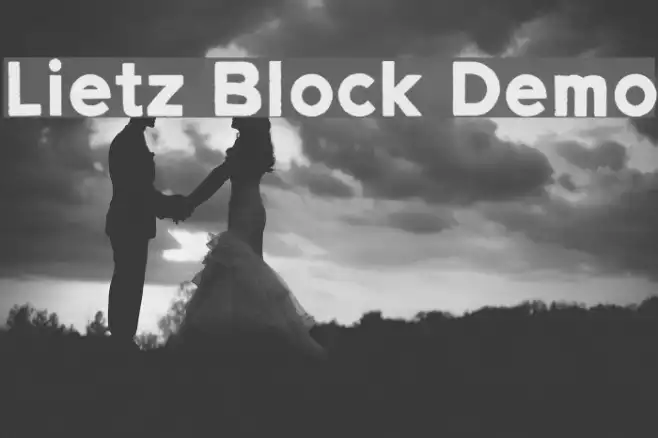 Lietz Block Demo Example 3