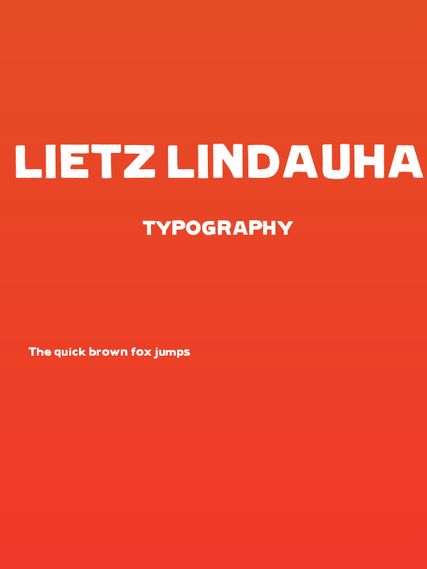 Lietz LindauHamburg Poster