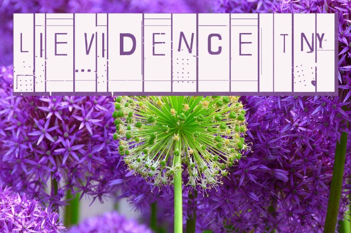 Lievidence TNY Font examples