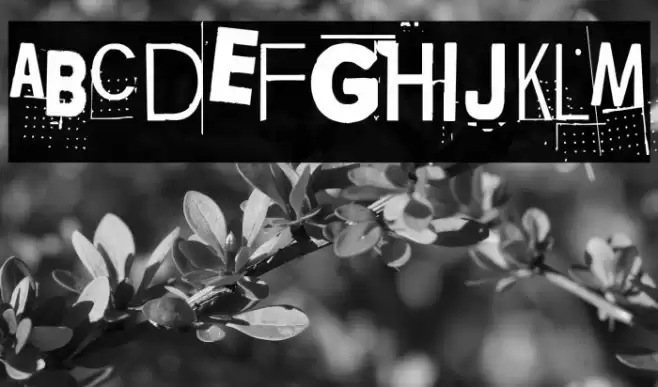 Lievidence Font examples