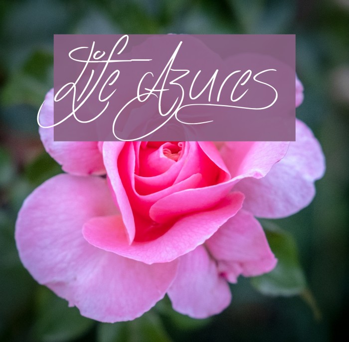 Life Azures Font examples