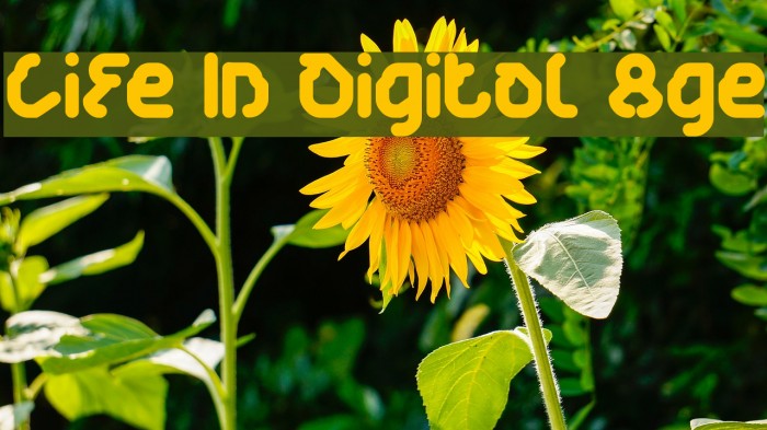 Life In Digital Age Font examples