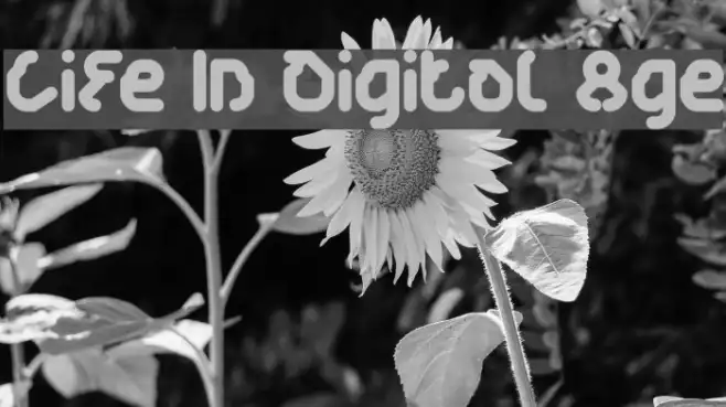 Life In Digital Age Example 2