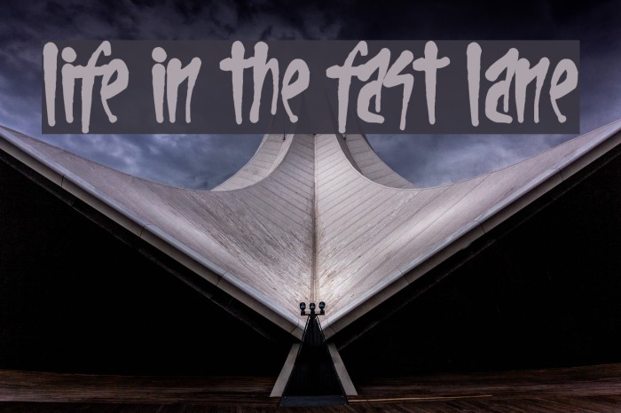 Life In The Fast Lane Example 1