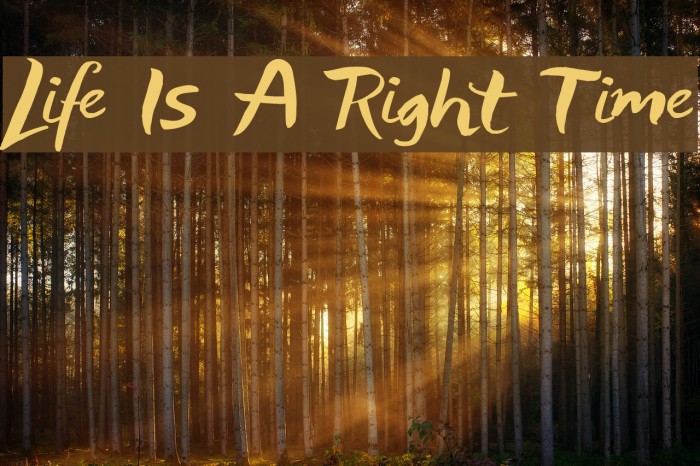 Life Is A Right Time Font examples