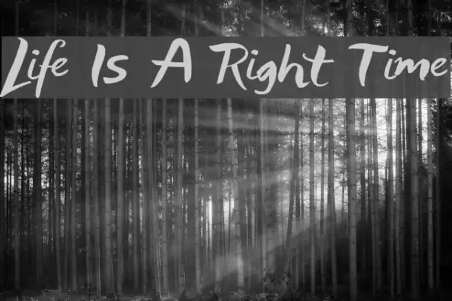 Life Is A Right Time Example 1